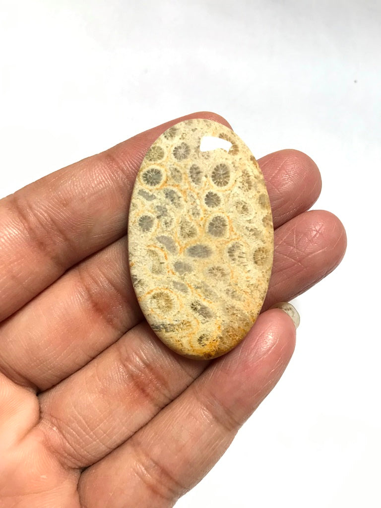 Coral Cabochon 1 Piece Size 40 MM Approx